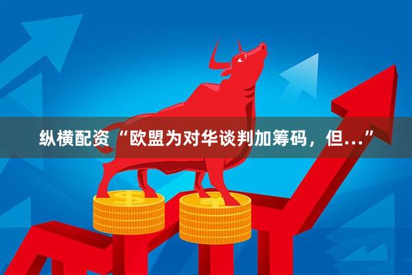 纵横配资 “欧盟为对华谈判加筹码，但…”