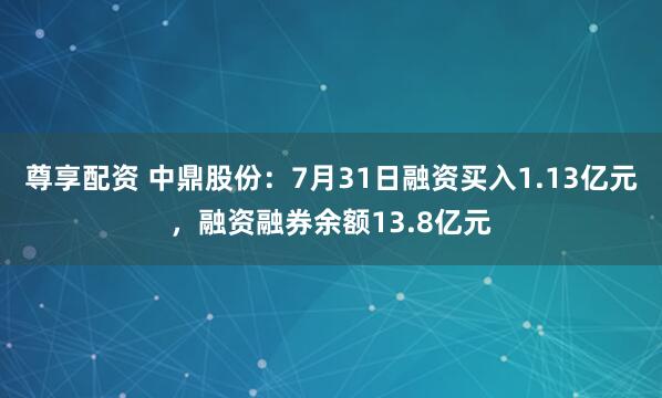 尊享配资 中鼎股份：7月31日融资买入1.13亿元，融资融券余额13.8亿元