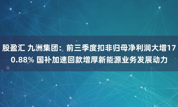 股盈汇 九洲集团:前三季度扣非归母净利润大增170.88% 国补加速回款增厚新能源业务发展动力