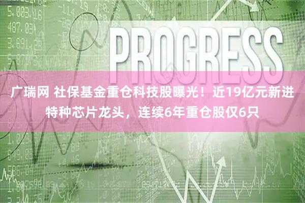 广瑞网 社保基金重仓科技股曝光!近19亿元新进特种芯片龙头,连续6年重仓股仅6只