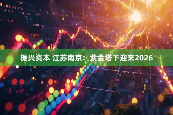 振兴资本 江苏南京:紫金塔下迎来2026